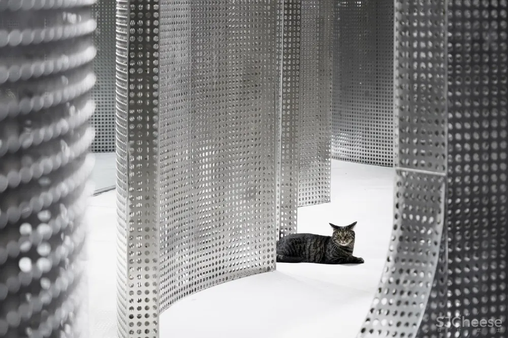 最新 I.F.S.E. SPACE CREATIVE LAB | 上海“动物脊背”零售空间设计 首