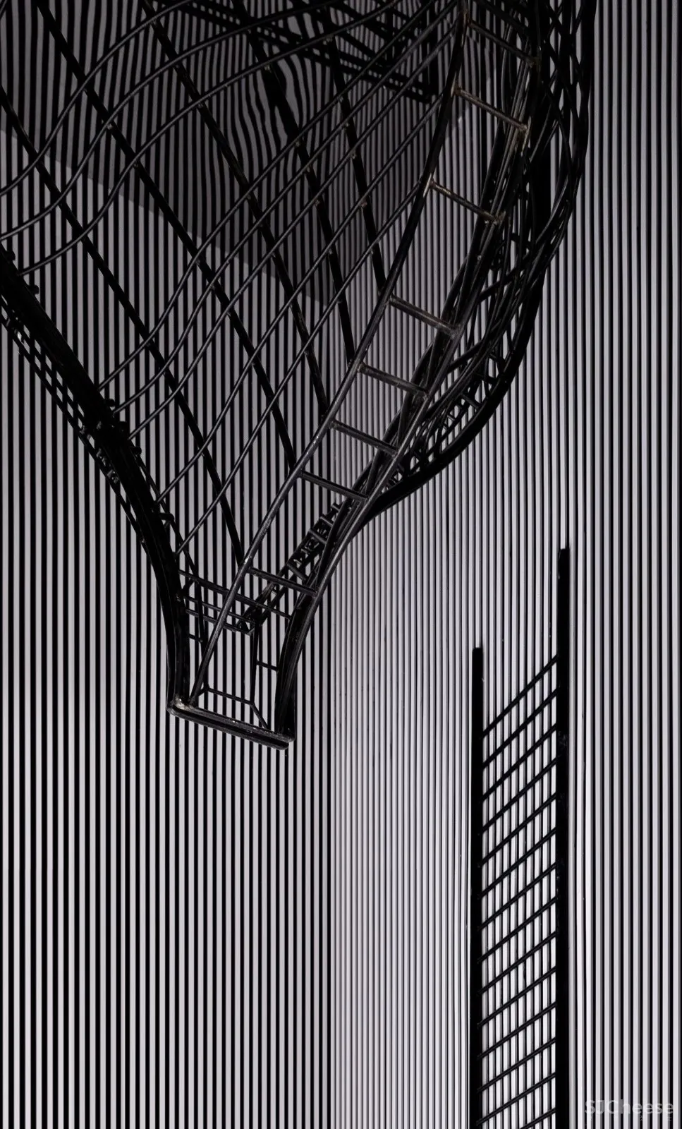 最新 | 为了爱，李想设计了中国首家动物艺术酒店，惊艳杭州 首