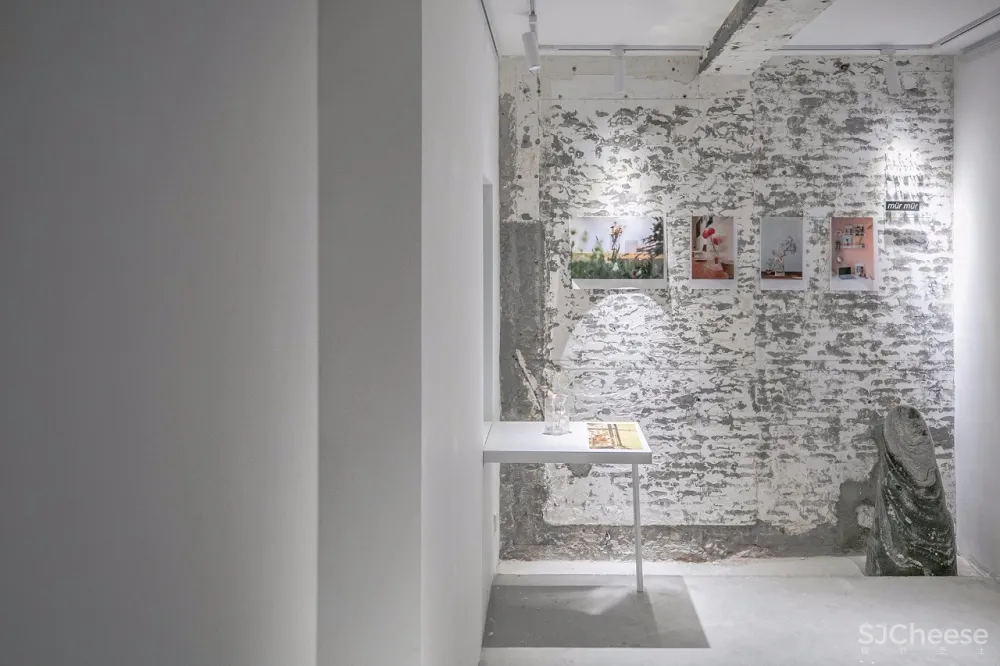 许多亲密个体共同生长的家 | Mur Mur Lab工作室