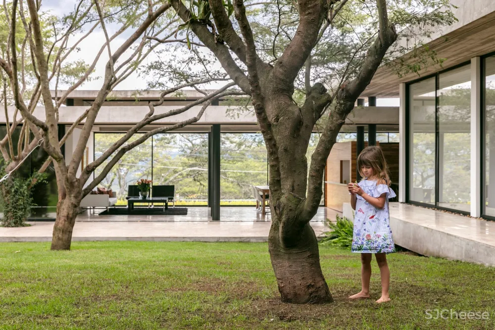 Gabriel Rivera Arquitectos | 森林概念住宅 Tacuri House