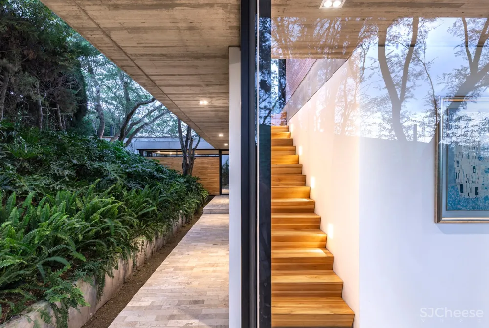 Gabriel Rivera Arquitectos | 森林概念住宅 Tacuri House