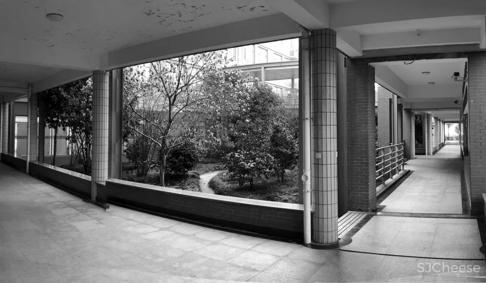 树桌花园,上海 / 大观景观设计