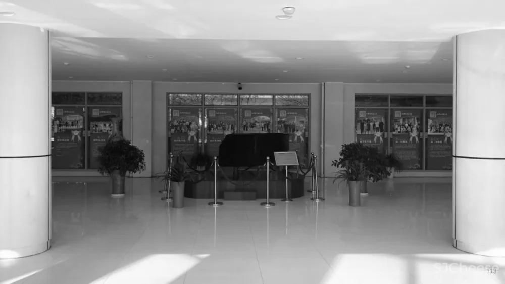 树桌花园,上海 / 大观景观设计