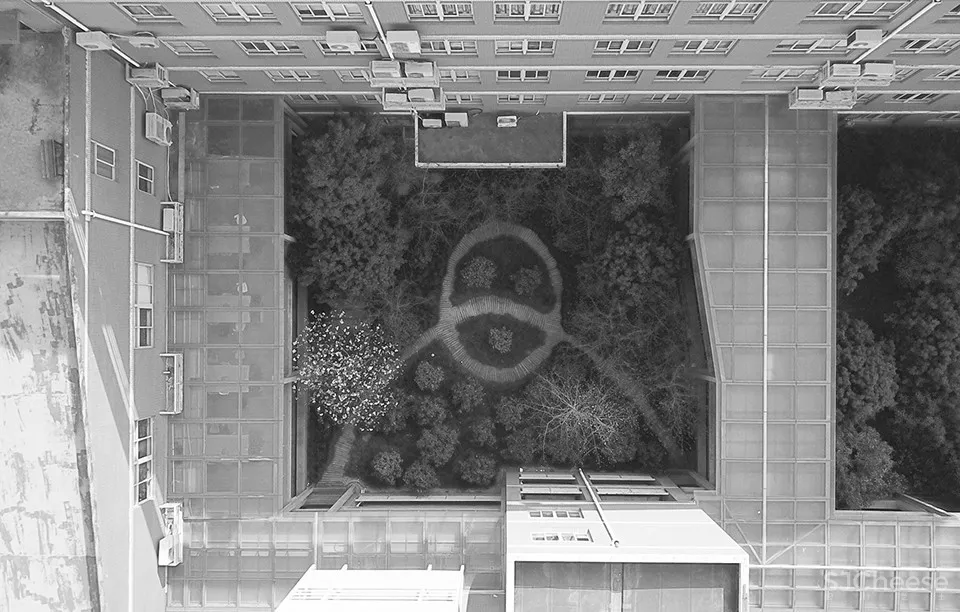 树桌花园,上海 / 大观景观设计