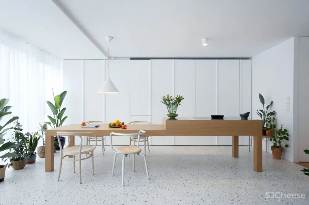 最新 | 绿色植物明亮现代公寓 Mesarska