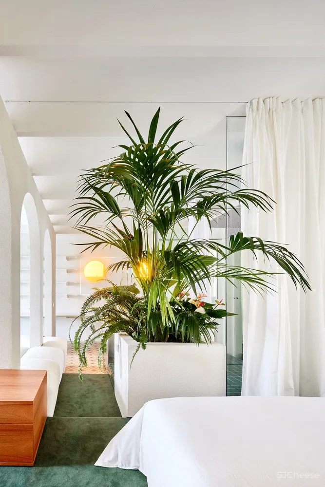 P-M-A-A | 巴塞罗那圆拱优雅别墅 PENTHOUSE