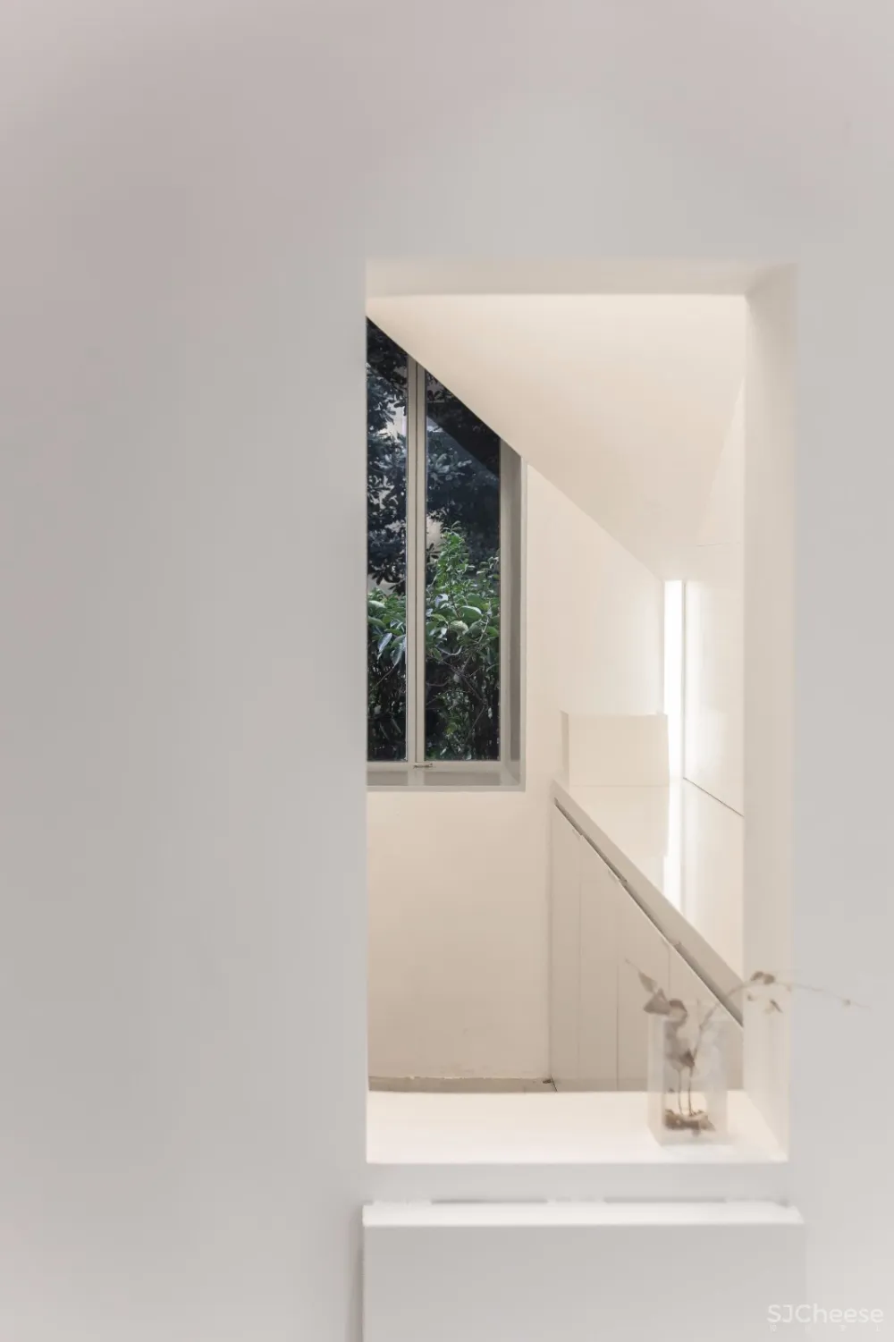 许多亲密个体共同生长的家 | Mur Mur Lab工作室