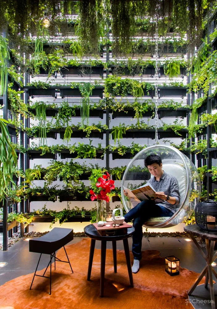 Apostrophy | 曼谷智能住宅 CASA LAWA 首