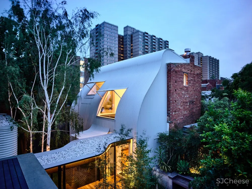 Austin Maynard Architects | King Bill 四口之家