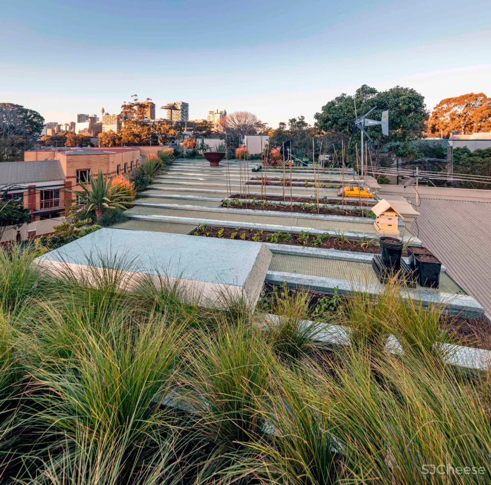 首发 | CplusC Architecture Firm事务所,市中心的丛林小屋