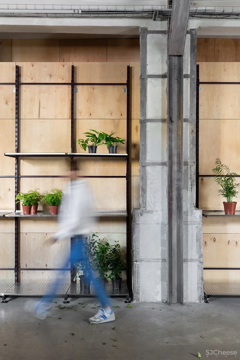 新作 | Dicentra鲜花批发商店,乌克兰 / Rina Lovko Studio