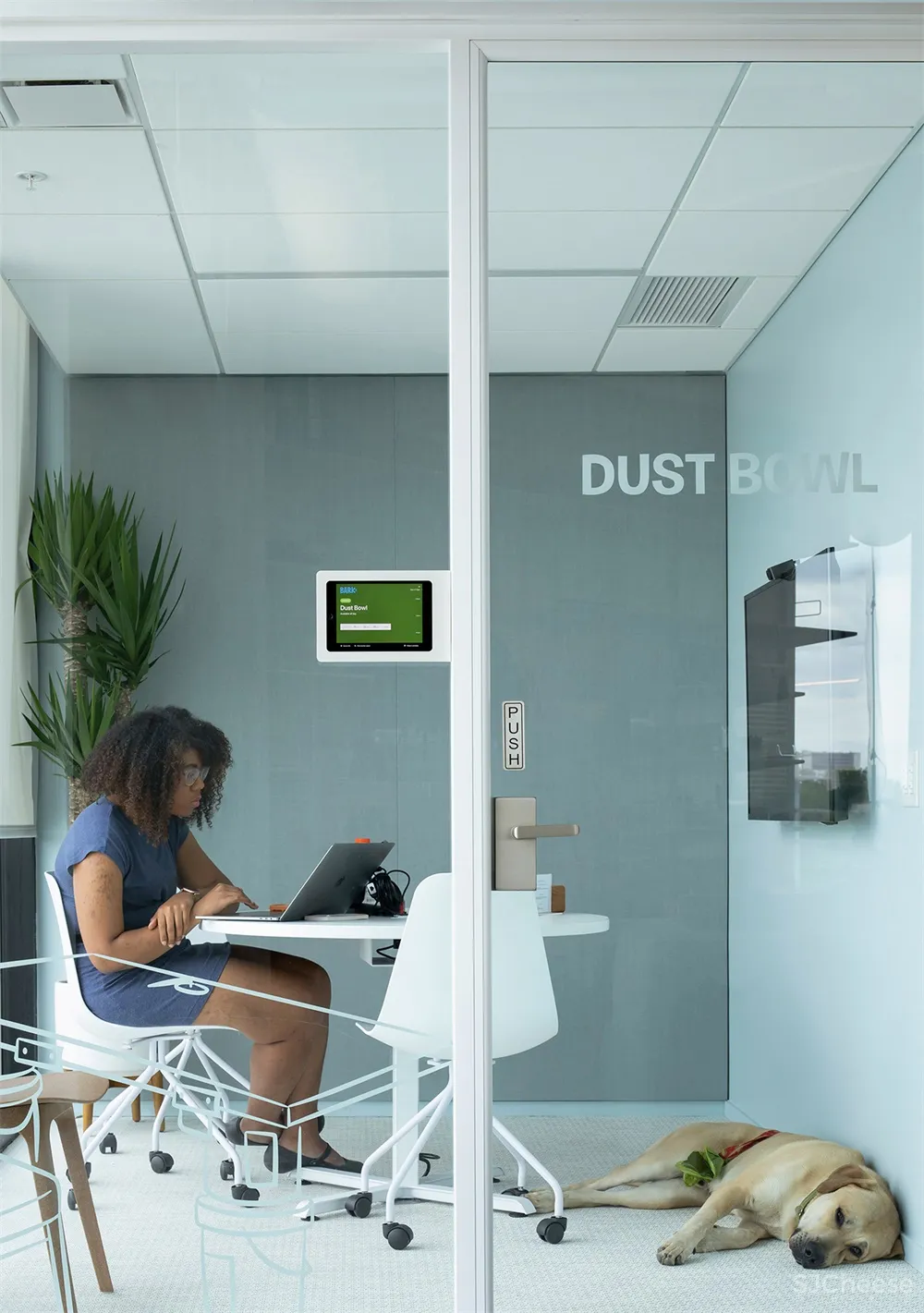 NBBJ | 与宠物一起上班,哥伦布Bark办公室