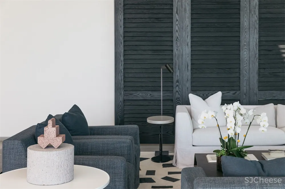 墨西哥度假小镇艺术收藏者的白色沙滩别墅