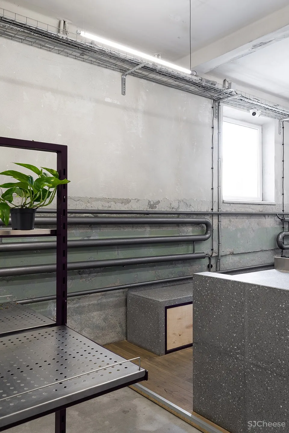 新作 | Dicentra鲜花批发商店,乌克兰 / Rina Lovko Studio