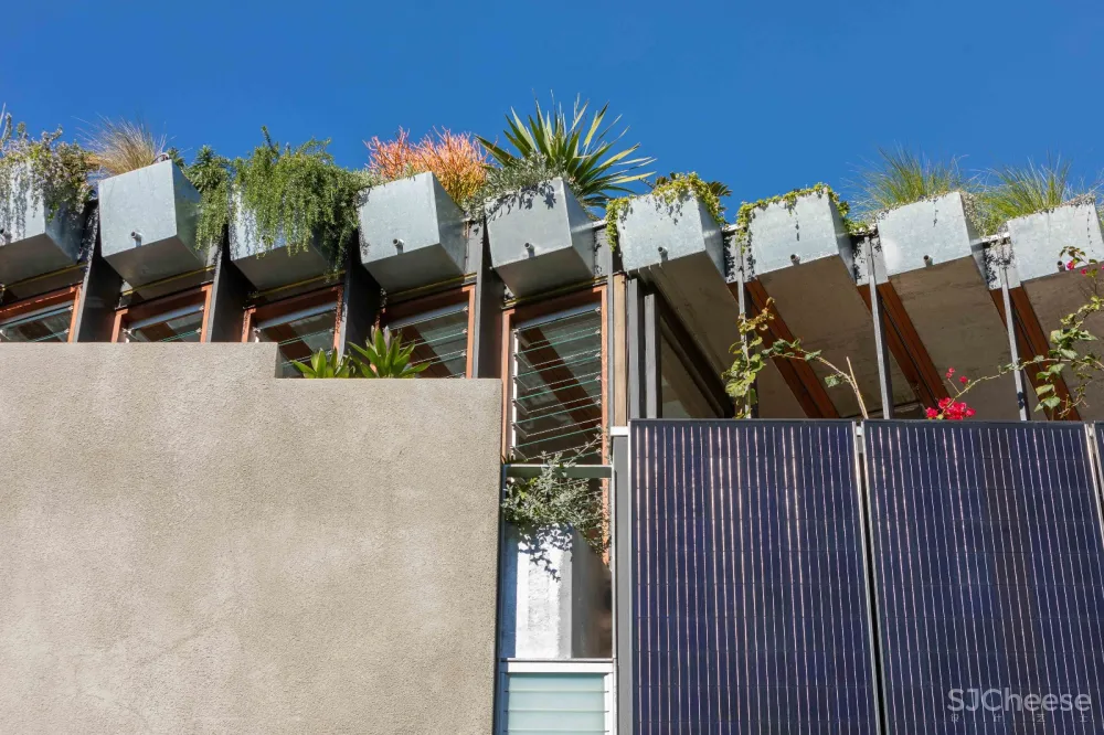 首发 | CplusC Architecture Firm事务所,市中心的丛林小屋