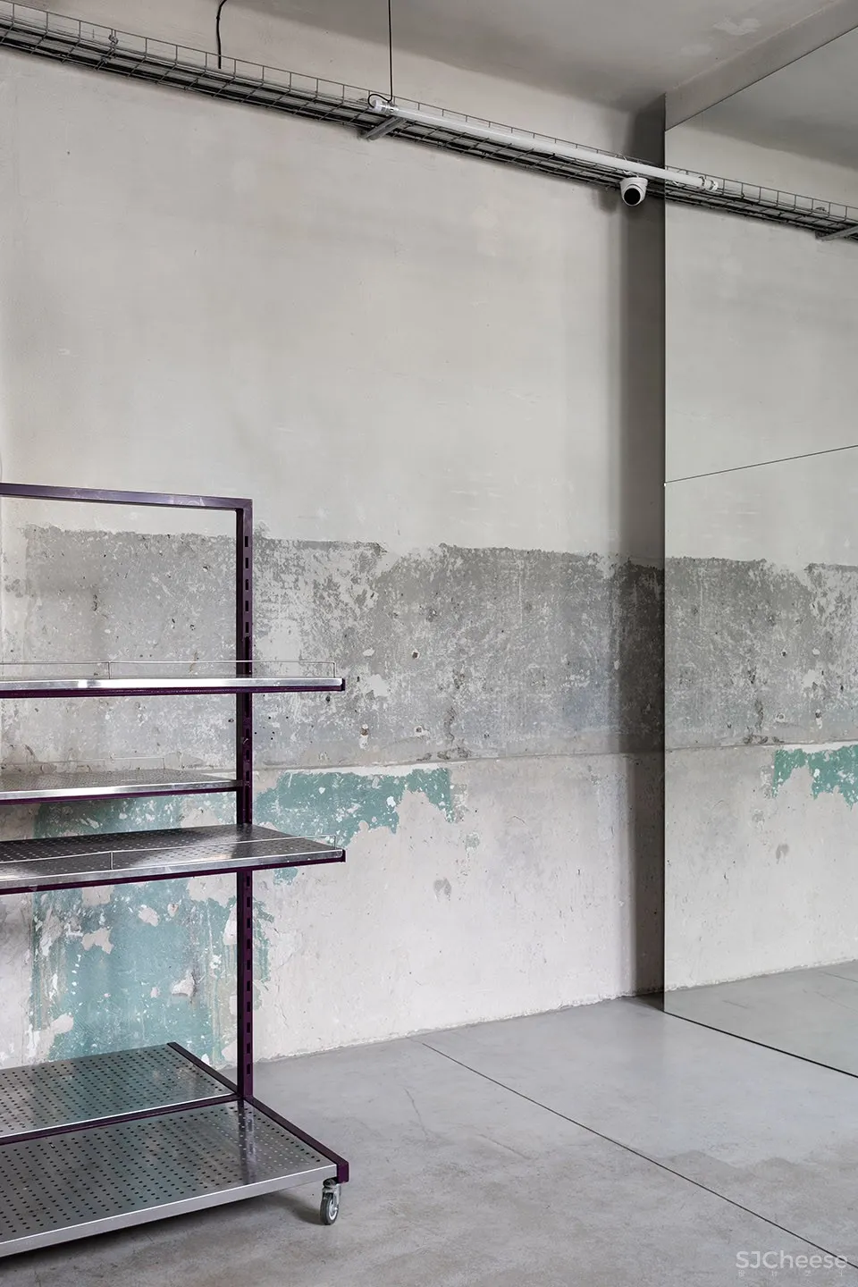 新作 | Dicentra鲜花批发商店,乌克兰 / Rina Lovko Studio