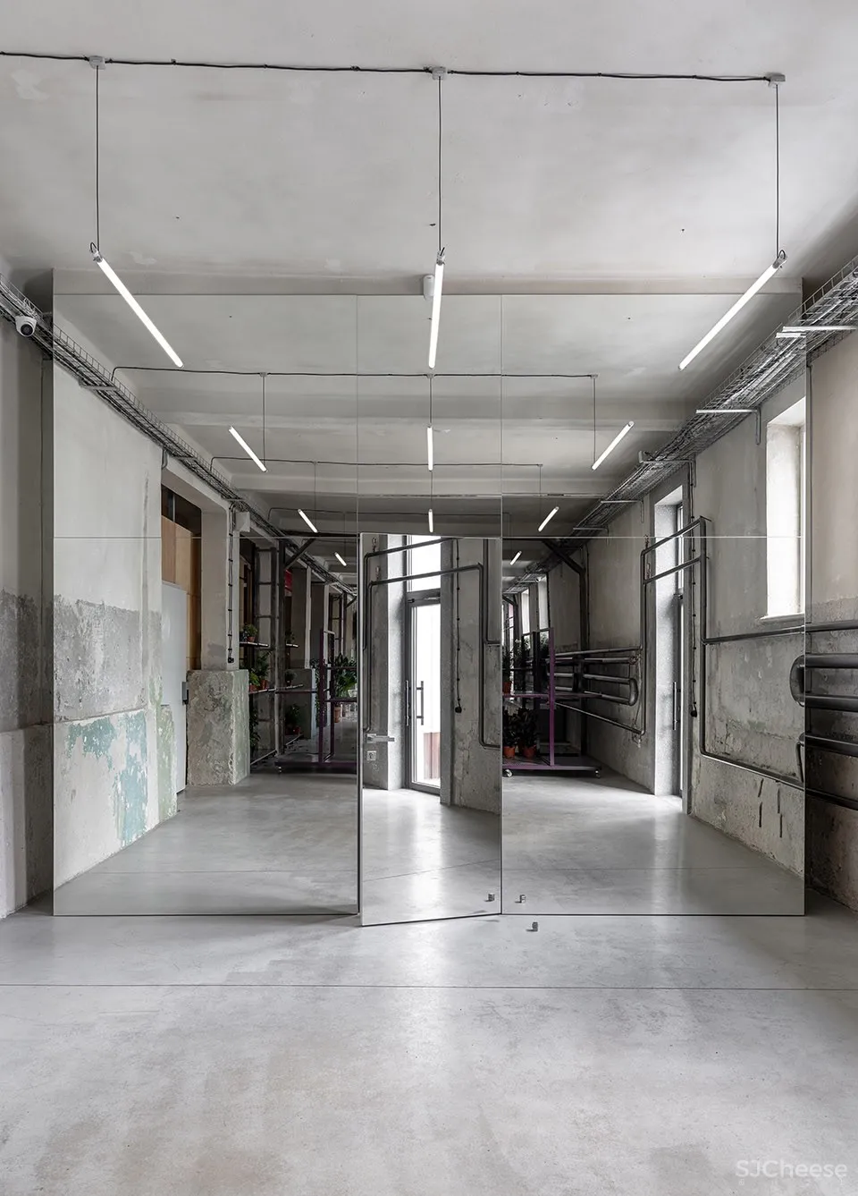 新作 | Dicentra鲜花批发商店,乌克兰 / Rina Lovko Studio