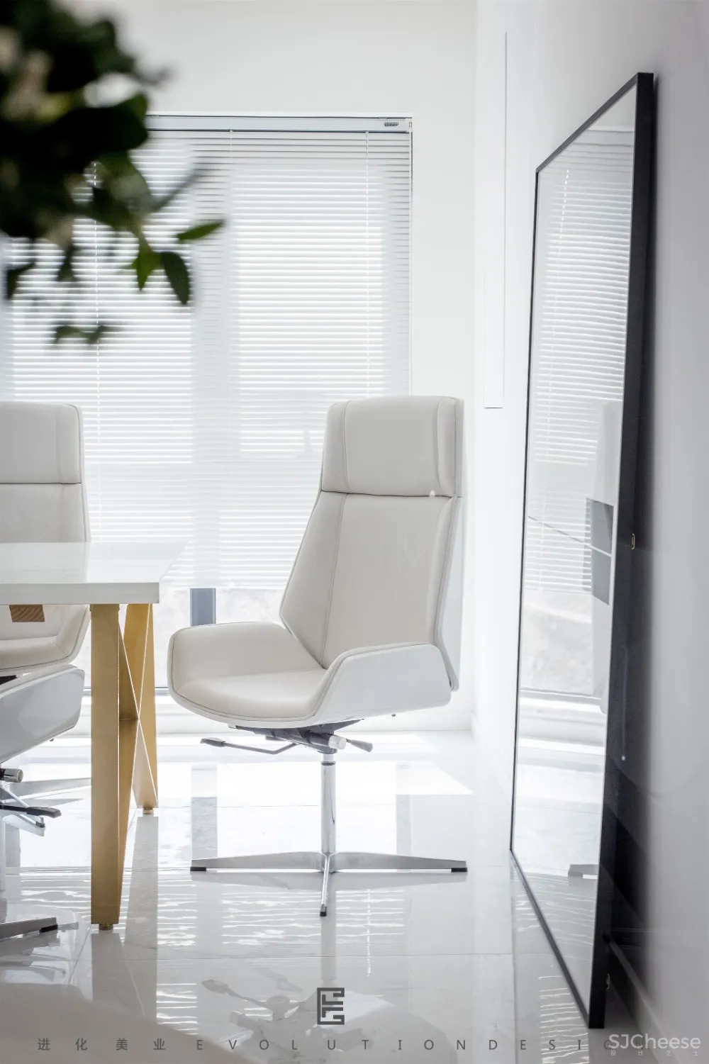 进化新面孔 | 我们有一盒子的光要与你分享