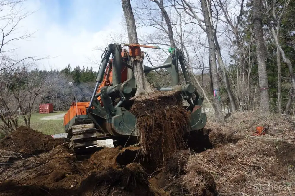 石上纯也 | 日本栃木县水上公园