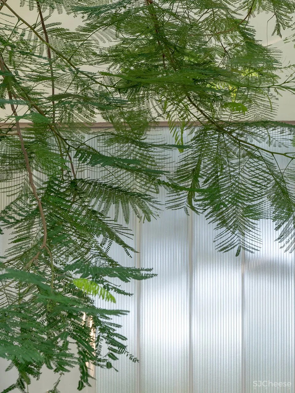 广州ONMYOJI阴阳师主题店 / 壹所设计工作室