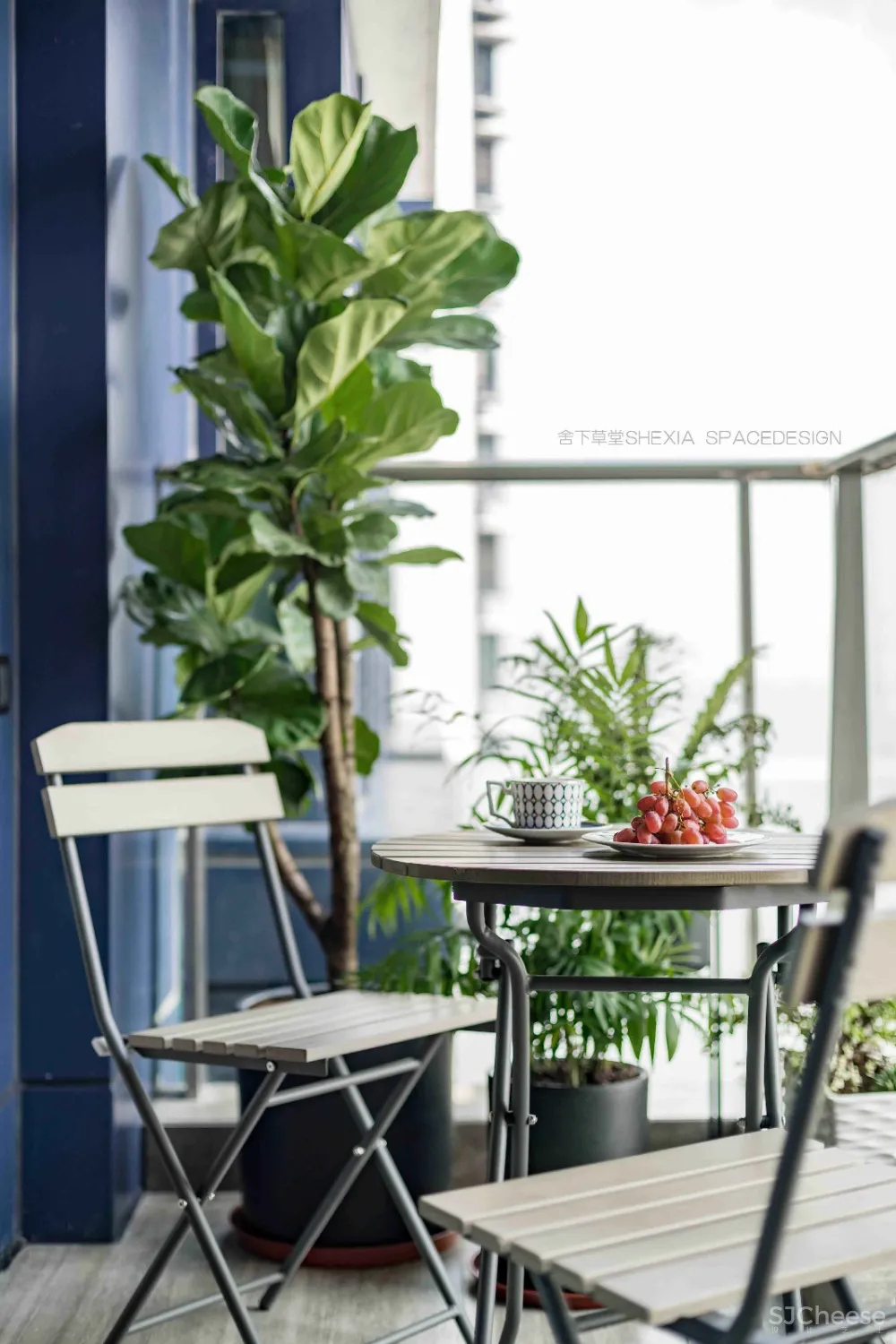 舍下草堂实景新作| 半岛