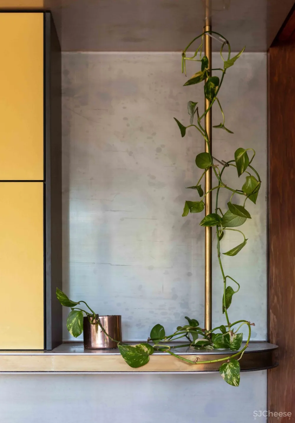 首发 | CplusC Architecture Firm事务所,市中心的丛林小屋