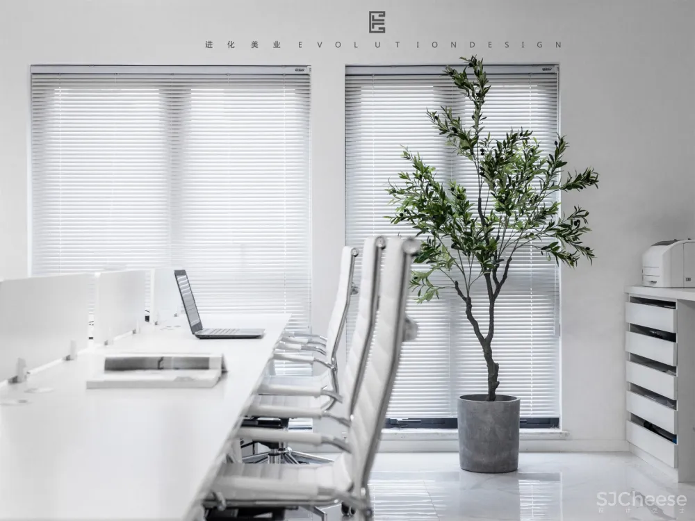 进化新面孔 | 我们有一盒子的光要与你分享