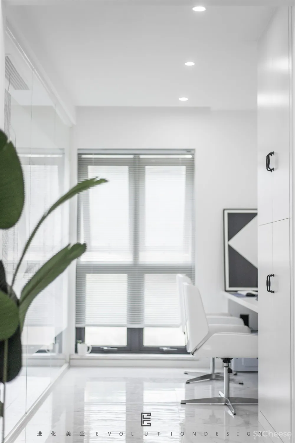 进化新面孔 | 我们有一盒子的光要与你分享