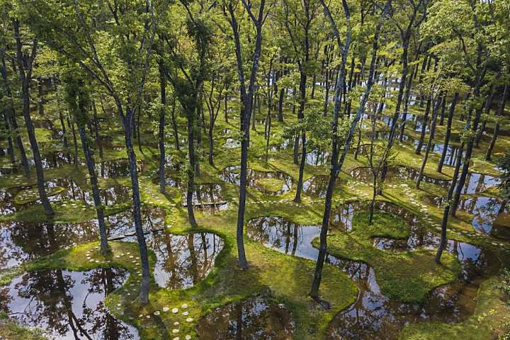 石上纯也 | 日本栃木县水上公园