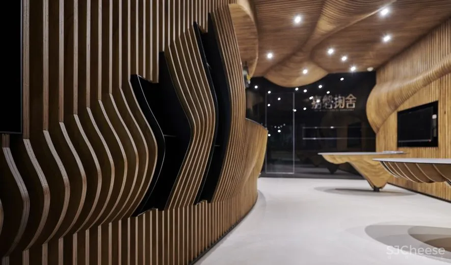 9 Studio Design Group | 橱窗里的房子