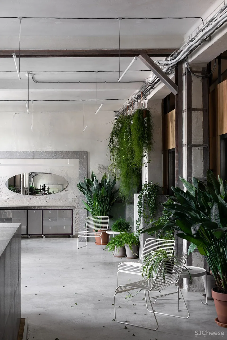 新作 | Dicentra鲜花批发商店,乌克兰 / Rina Lovko Studio