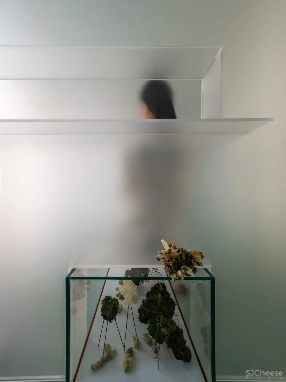 水相设计 | 北京朝阳水相事务所SPA馆