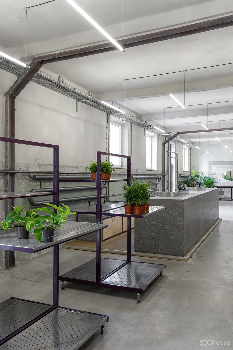 新作 | Dicentra鲜花批发商店,乌克兰 / Rina Lovko Studio