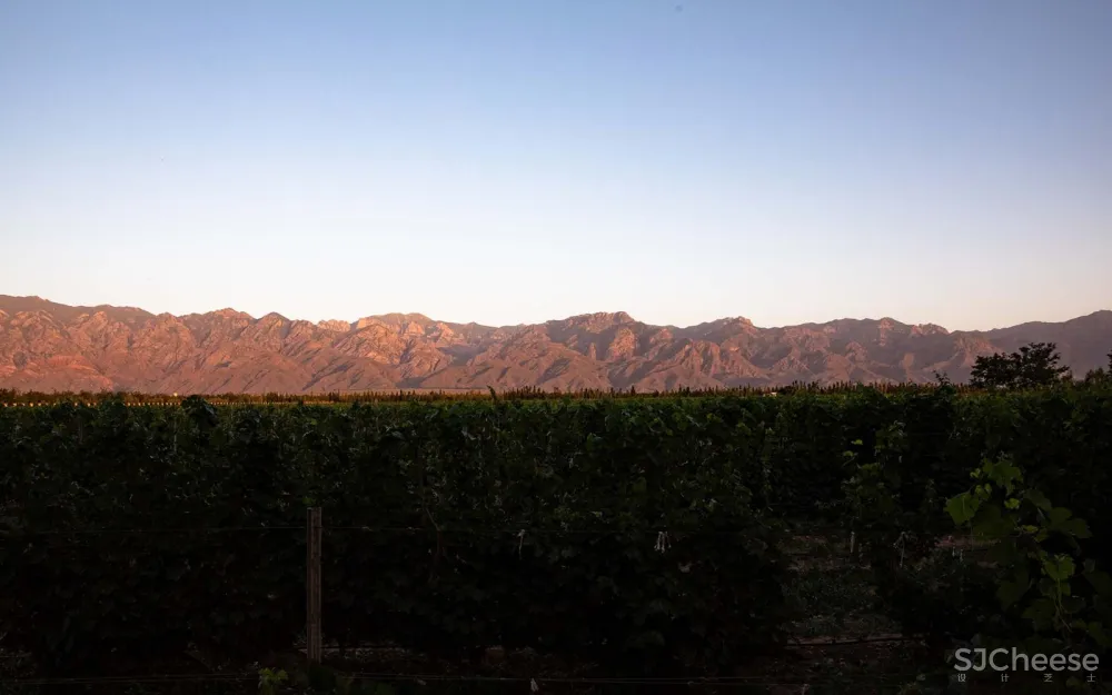 最新 | 继景设计工作室,银川美御酒庄— JIN DESIGN STUDIO