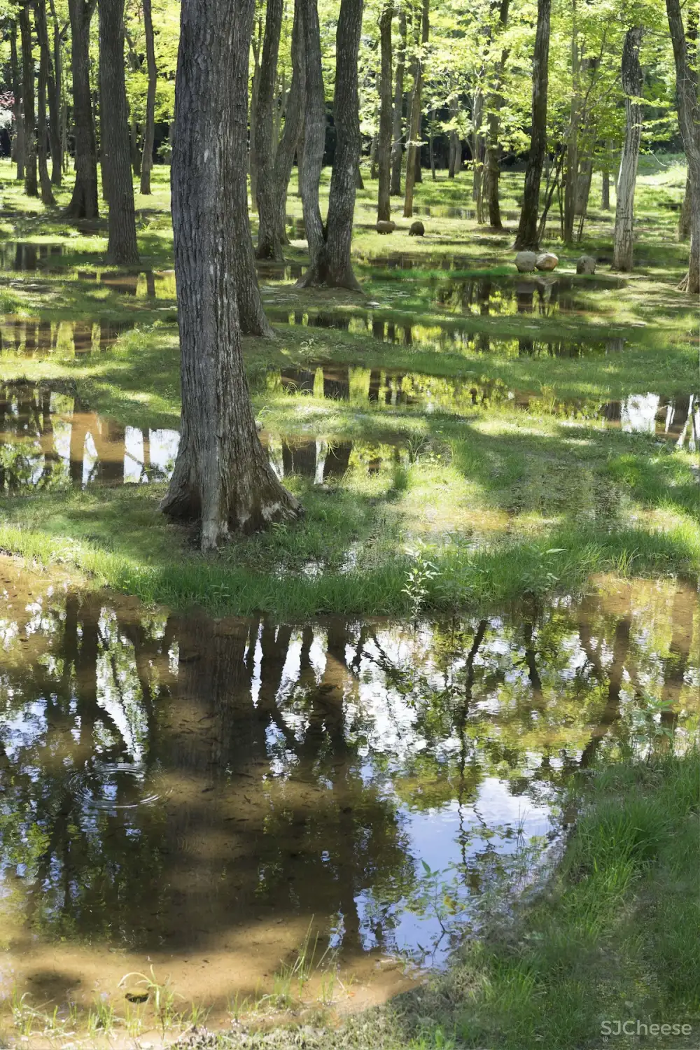 石上纯也 | 日本栃木县水上公园