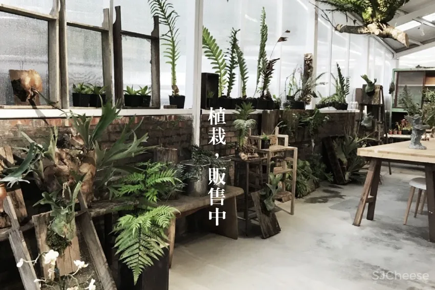 新商业 | 嘉义「空气图书馆」复合式餐厅
