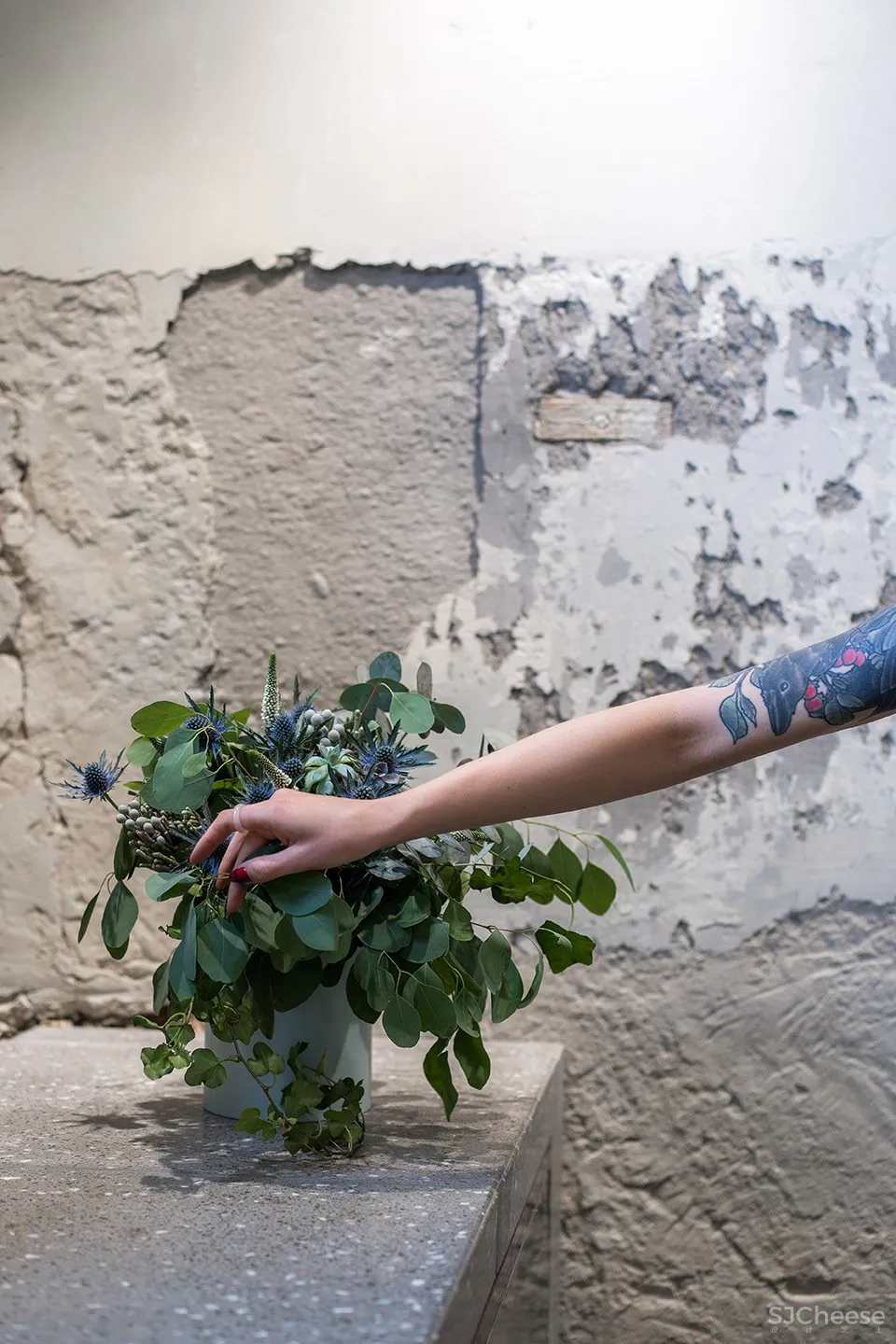 新作 | Dicentra鲜花批发商店,乌克兰 / Rina Lovko Studio