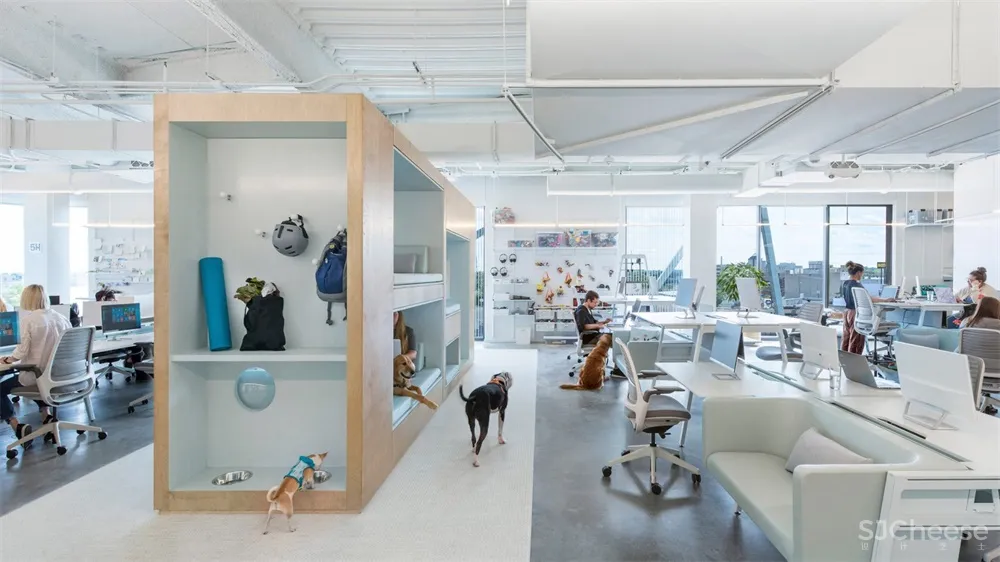 NBBJ | 与宠物一起上班,哥伦布Bark办公室