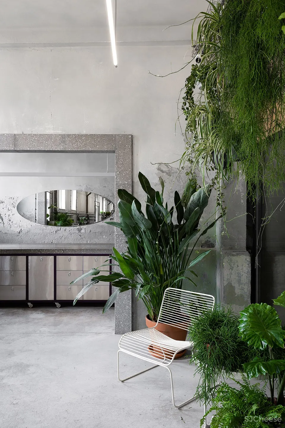 新作 | Dicentra鲜花批发商店,乌克兰 / Rina Lovko Studio