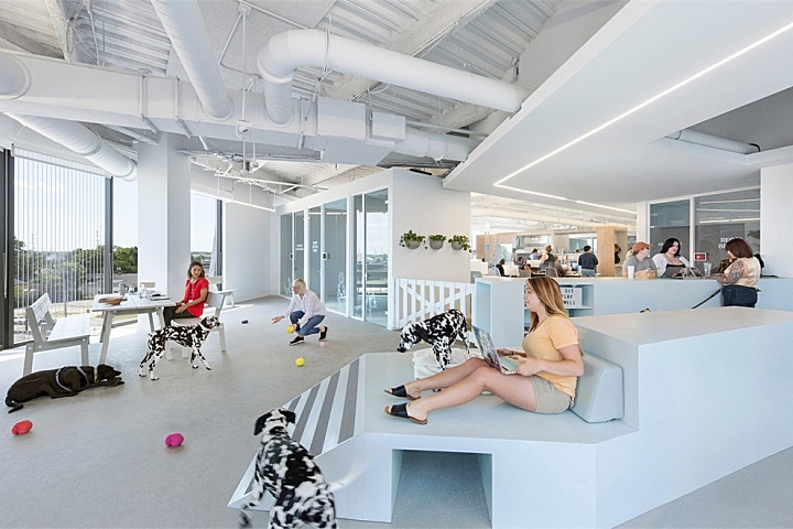 NBBJ | 与宠物一起上班，哥伦布Bark办公室