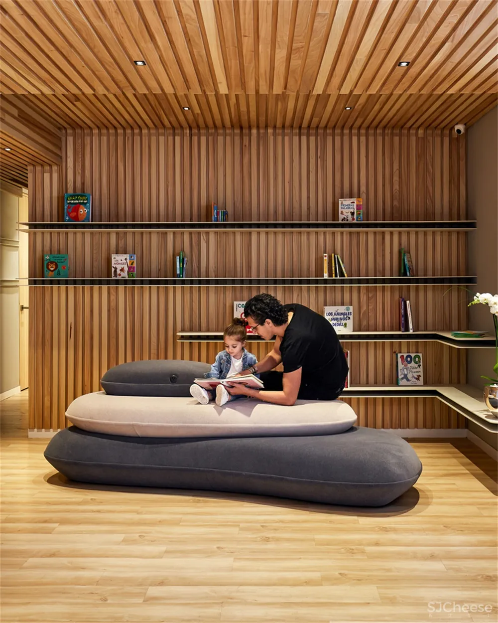 Sulkin Askenazi | 墨西哥Nía儿童学校