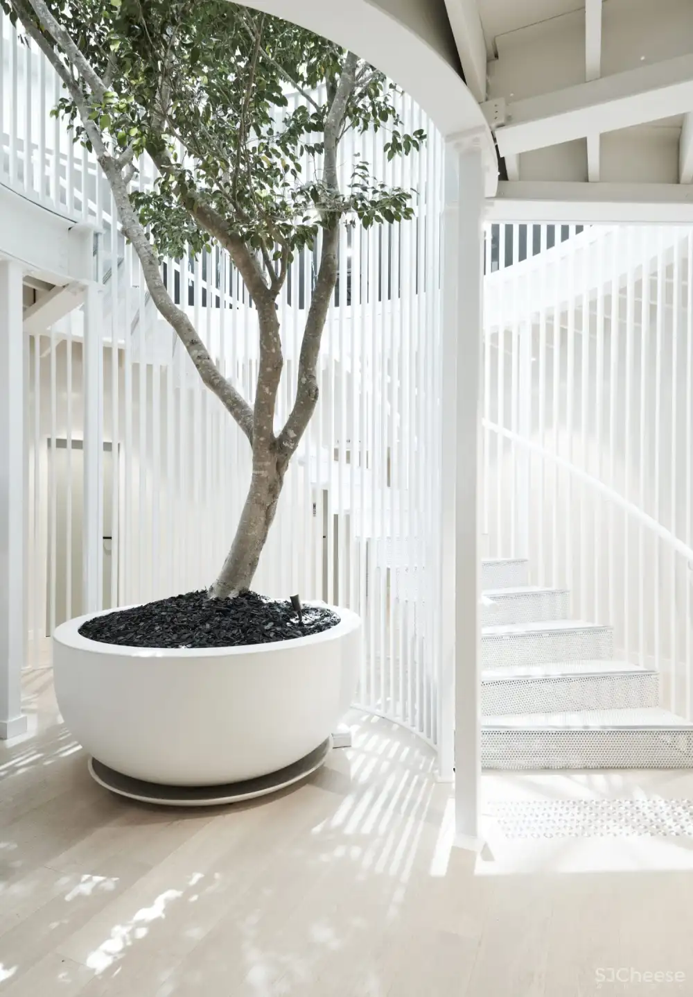 Tom Mark Henry l 澳大利亚设计界的新生代力量