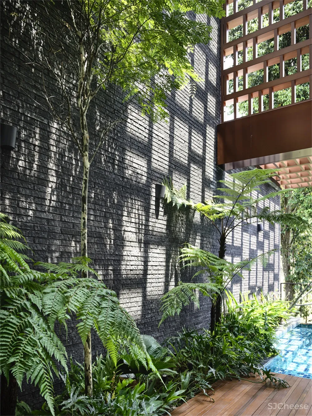 HYLA Architects l 新加坡Viewing Back住宅