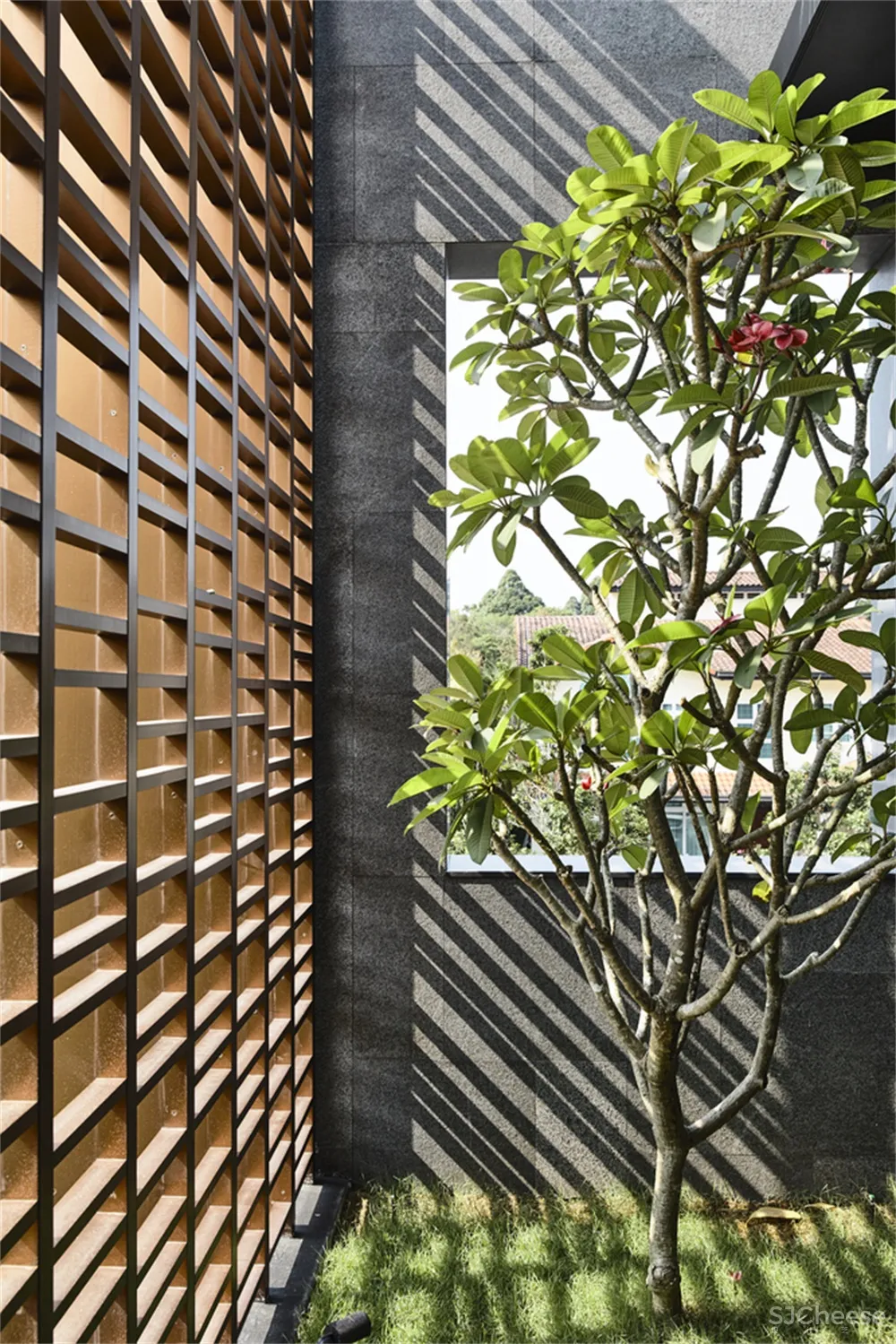 HYLA Architects l 新加坡Viewing Back住宅