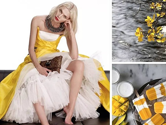 【软装色彩搭配】设计灵感必备 – 十大色系配色参考集丨620套丨1988张丨242M