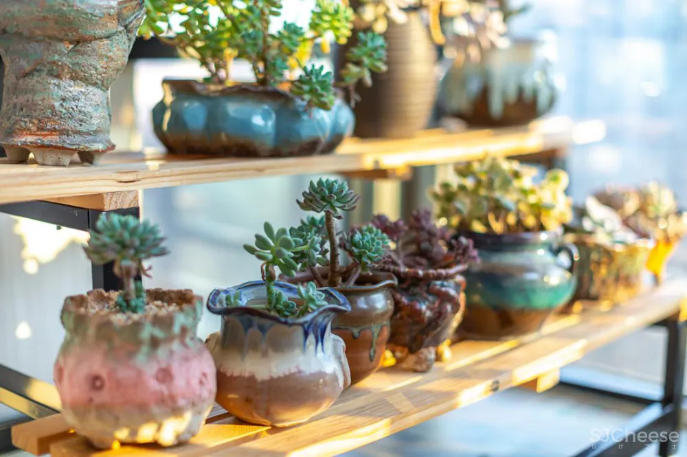 [美式田园]品味生活,追求悠闲，来一场绿意盎然的视觉享受