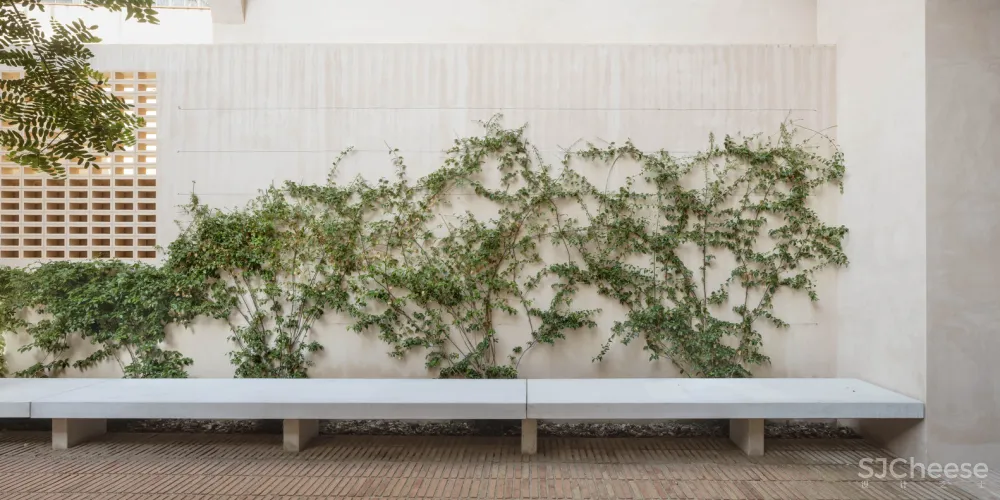 Lussi+Halter&Lola Domenech l 四个朋友的公寓