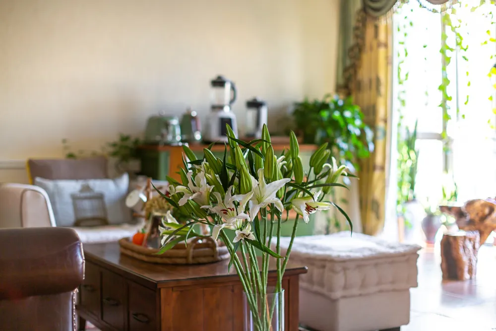 [美式田园]品味生活,追求悠闲，来一场绿意盎然的视觉享受