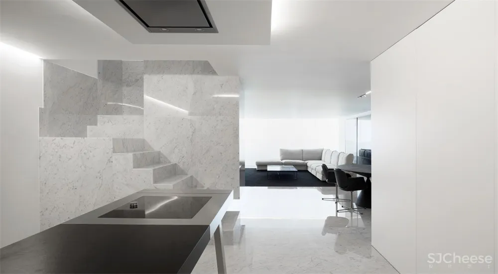 FSA l 西班牙极简主义Penthouse住宅