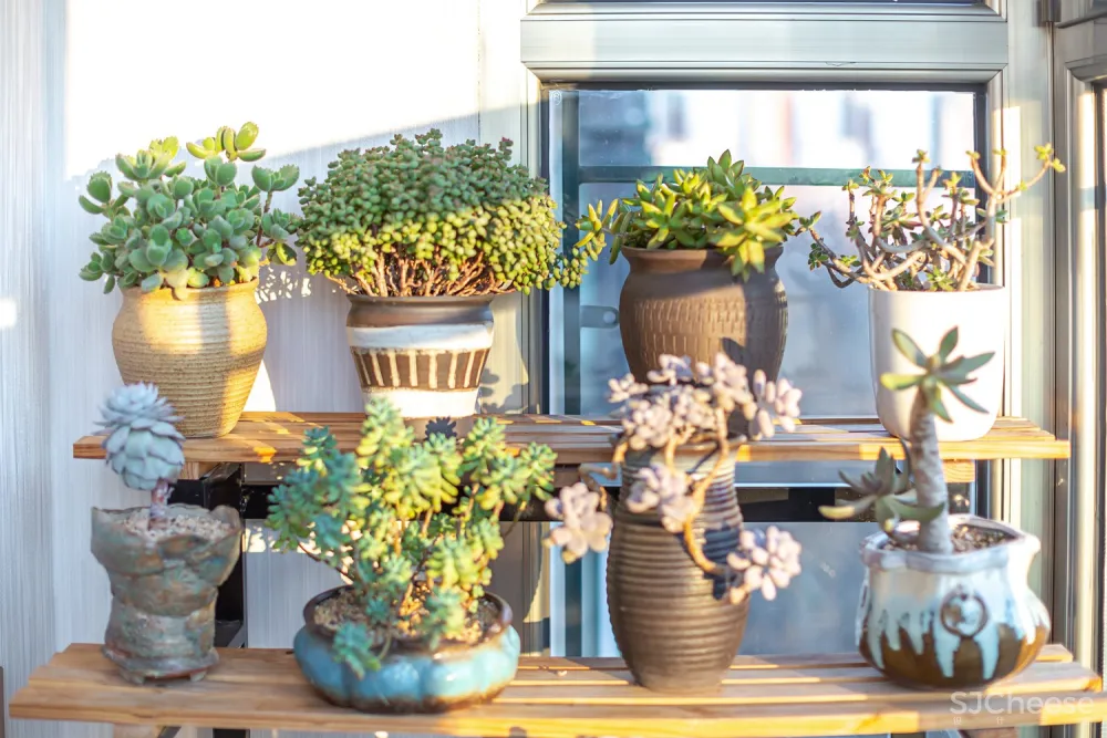 [美式田园]品味生活,追求悠闲，来一场绿意盎然的视觉享受